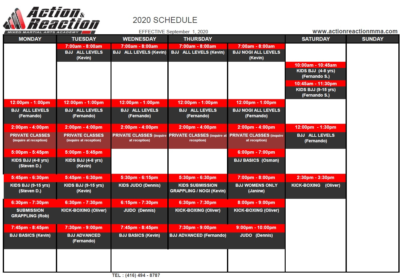 ActionAndReactionMMANorthYorkSchedule Action & Reaction MMA