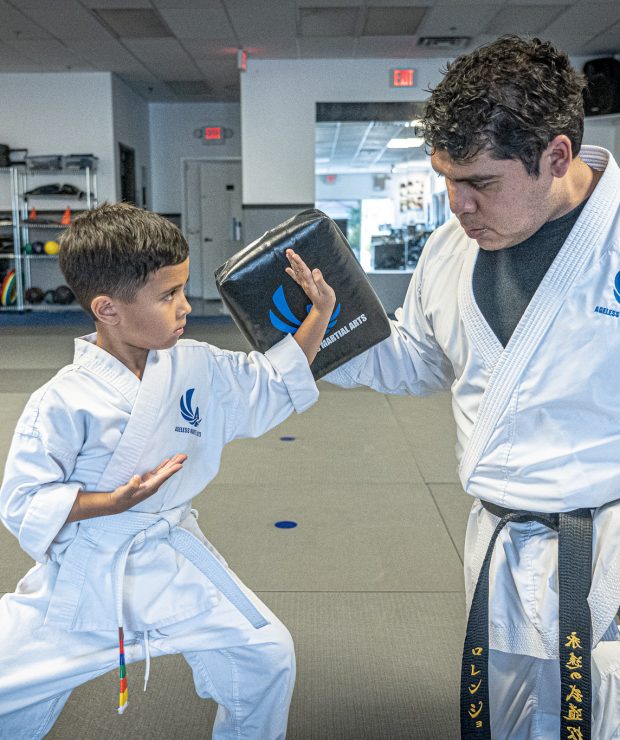 Las Vegas Martial Arts for Kids, Karate classes near me, Ageless