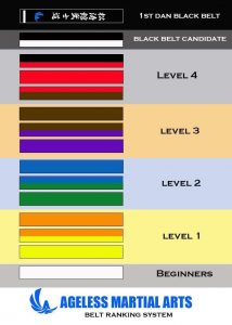 karate belt degrees