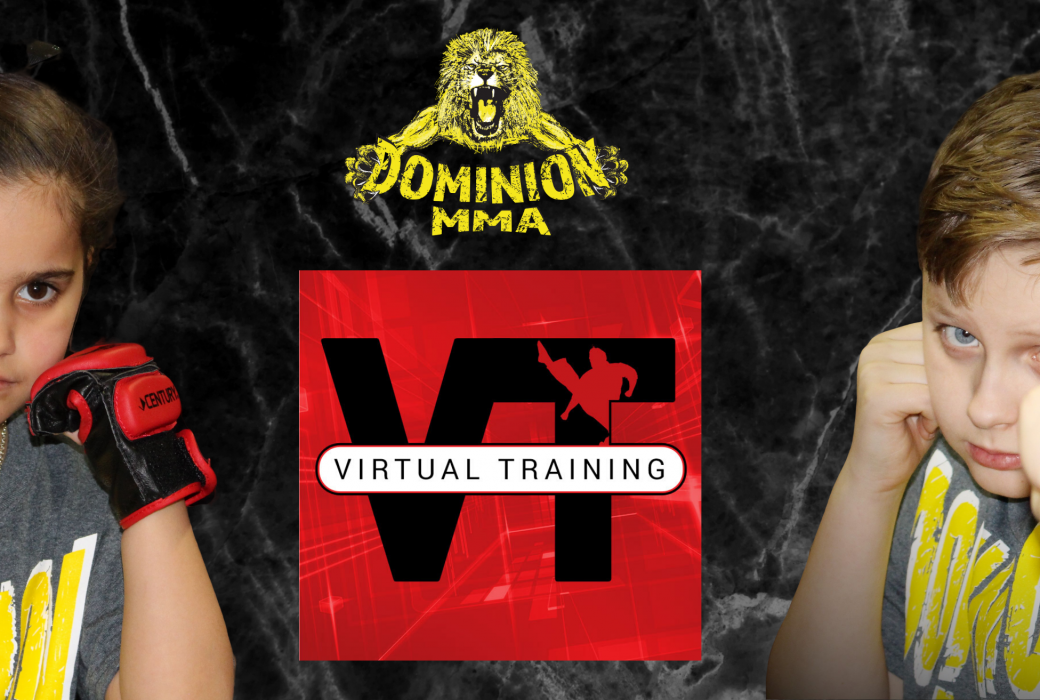 Dma Banner Virtual Training Dominion Martial Arts