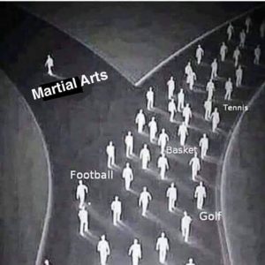 BJJ martial arts for fitness, discipline, stress reduction, and self defense