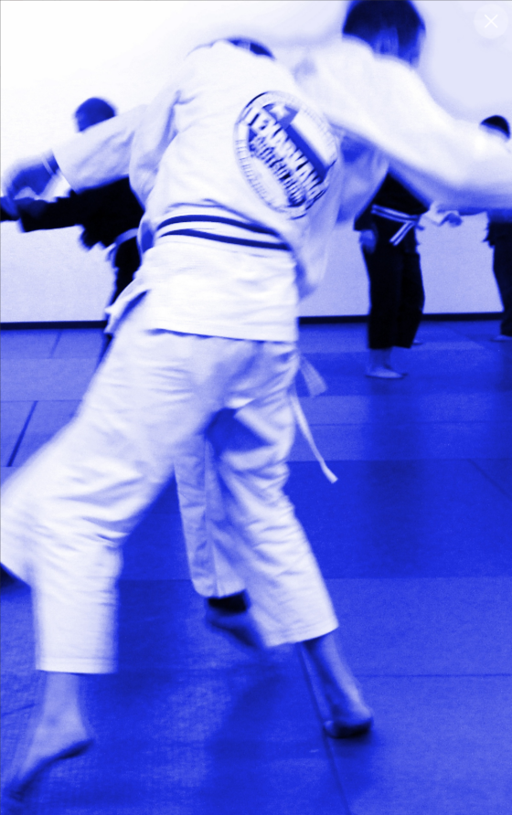 Does Brazilian Jiu Jitsu Work In A Street Fight? Texarkana Jiu Jitsu