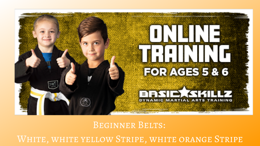 Basic Skillz Beginners Zentai Martial Arts